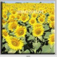 /album/photo-gallery-canvas-uri/decoratiuni-de-perete-canvas-lc-0655-jpg/